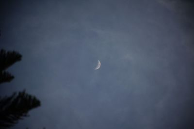 Low angle view of moon in sky at night