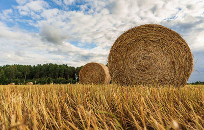 Swedish landscape with rolled grass in the fields