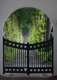 Close-up of gate against trees