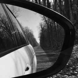 Reflection of road and bare trees on side-view car mirror