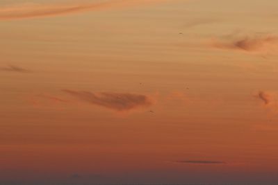 Low angle view of orange sky