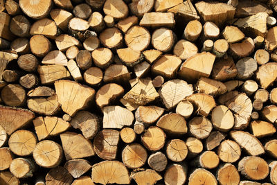 Photographic documentation of a large pile of firewood in reserve for the winter