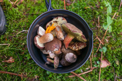 Directly above shot of mushrooms in container on field