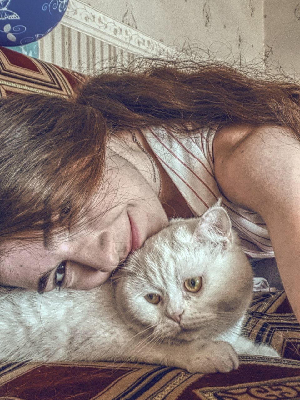 cat, domestic animals, mammal, feline, domestic, domestic cat, one animal, pets, vertebrate, portrait, real people, one person, relaxation, looking at camera, lifestyles, indoors, whisker, hairstyle, pet owner