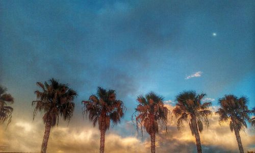 Low angle view of trees against cloudy sky