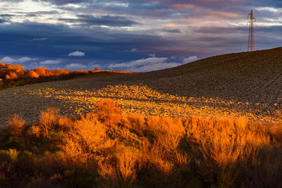 Scenic view of field against sky during sunset