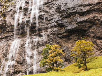 Scenic view of waterfall