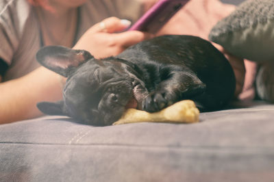 Midsection of person with dog relaxing on bed