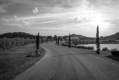 Road amidst trees against sky