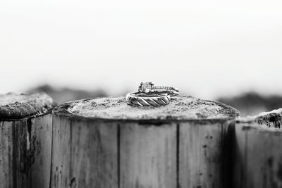 Close up of rings 