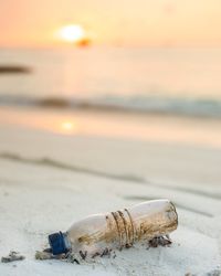 Close-up of abandoned bottle on shell at beach