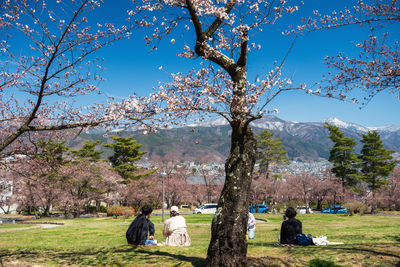 Rear view of people sitting in park