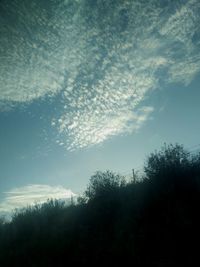 Low angle view of silhouette trees against sky