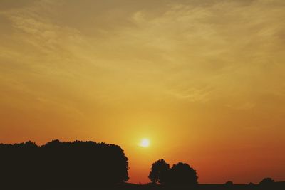 Silhouette of trees at sunset