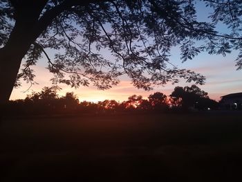 Silhouette trees against sky during sunset