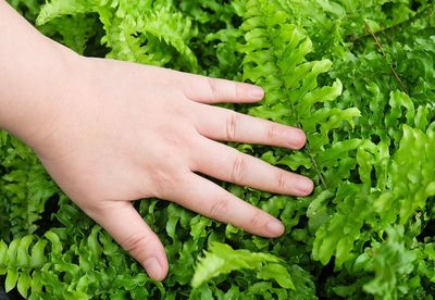 Close-up of hand touching plant