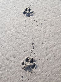 High angle view of footprints on sand