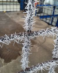 Close-up of frozen water