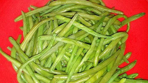 High angle view of green chili peppers