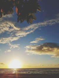 Low angle view of trees against sky during sunset