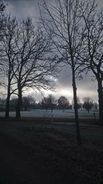 Silhouette bare trees on field against sky