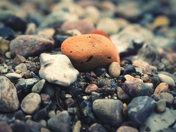 Close-up of pebbles on rocks