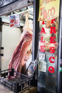 Close-up of ice cream hanging in shop