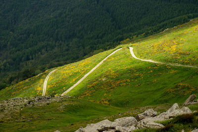 Scenic view of road amidst green landscape