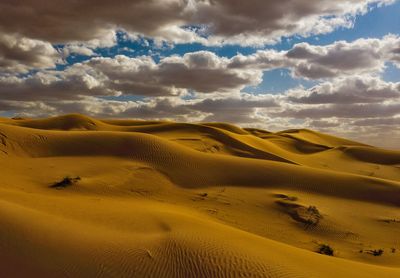 Sand desert