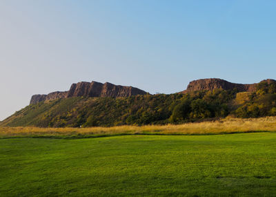 Scenic view of landscape against clear sky