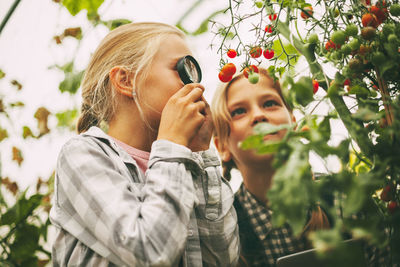 Two beautiful little girls examine small cherry tomatoes through a magnifying glass 