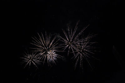 Low angle view of firework display at night