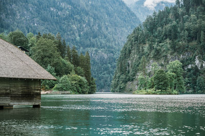 Scenic view of lake in forest