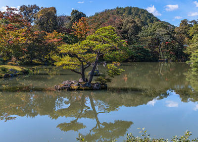 Full frame scenic view of autumn colors reflecting in the water with blue skies