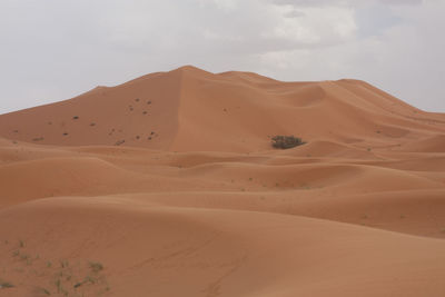 Scenic view of desert