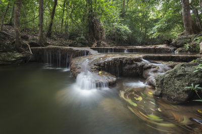 Waterfall in forest