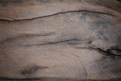 Surface level of wooden plank