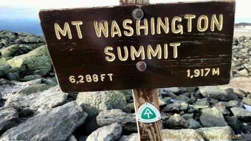 Close-up of road sign on rock