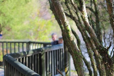 Railing on tree trunk