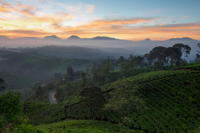 Scenic view of agricultural landscape against sky during sunset