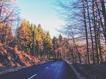 Road amidst trees against sky during autumn