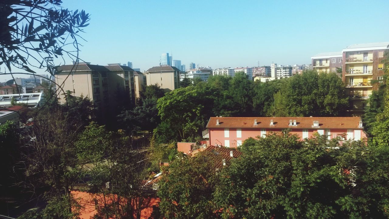 building exterior, architecture, built structure, tree, clear sky, city, residential structure, residential building, house, growth, building, plant, residential district, day, outdoors, city life, sunlight, no people, sky, copy space