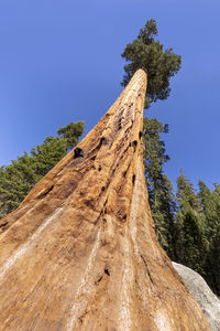 Low angle view of rock formations against sky