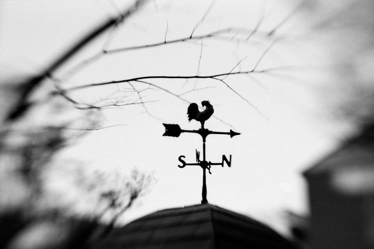 low angle view, silhouette, lighting equipment, focus on foreground, sky, cable, hanging, electricity, selective focus, close-up, street light, day, built structure, outdoors, part of, technology, no people, dusk, power line, tree