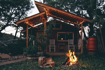 Bonfire on field against trees