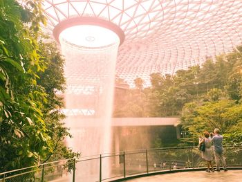 Rear view of people walking by plants in city