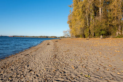 Surface level of pebble beach against clear sky