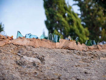 Low angle view of broken glass on retaining wall