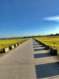 Road leading towards agricultural field against sky