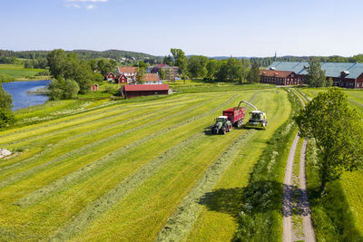 Forage harvester and tractor harvesting crops